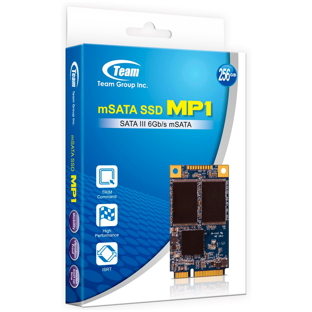 TeamGroup SSD mSata MP1 256GB